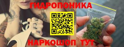 каннабис Новозыбков
