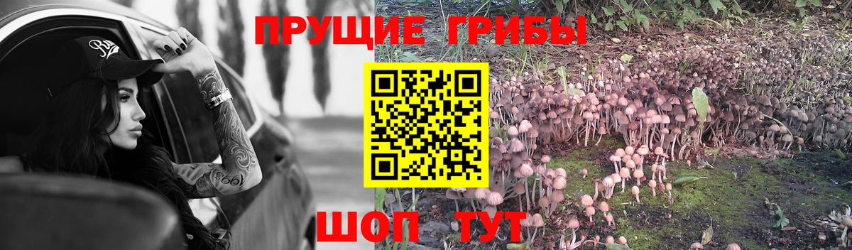 Галлюциногенные грибы мицелий Семёнов